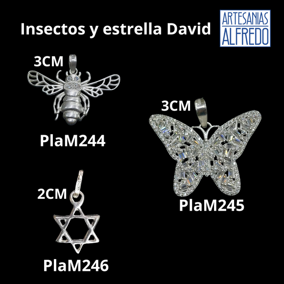 Insectos y Estrella de David dijes de plata