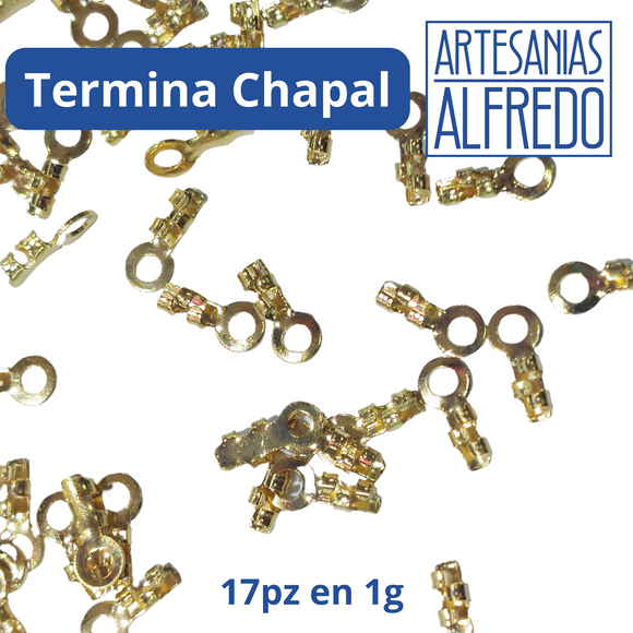 Terminal de chapa